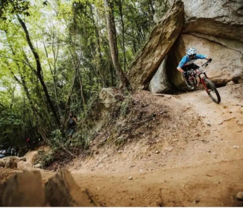 Appartamento Nido Tra Gli Ulivi Finale Ligure Esterno foto